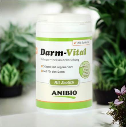 Anibio Darm Vital