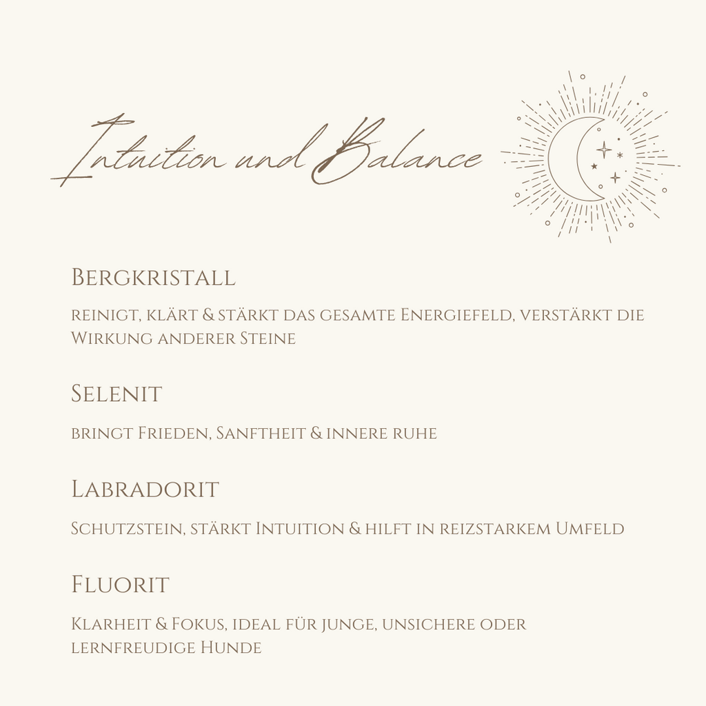 Napfzauber Intuition & Balance