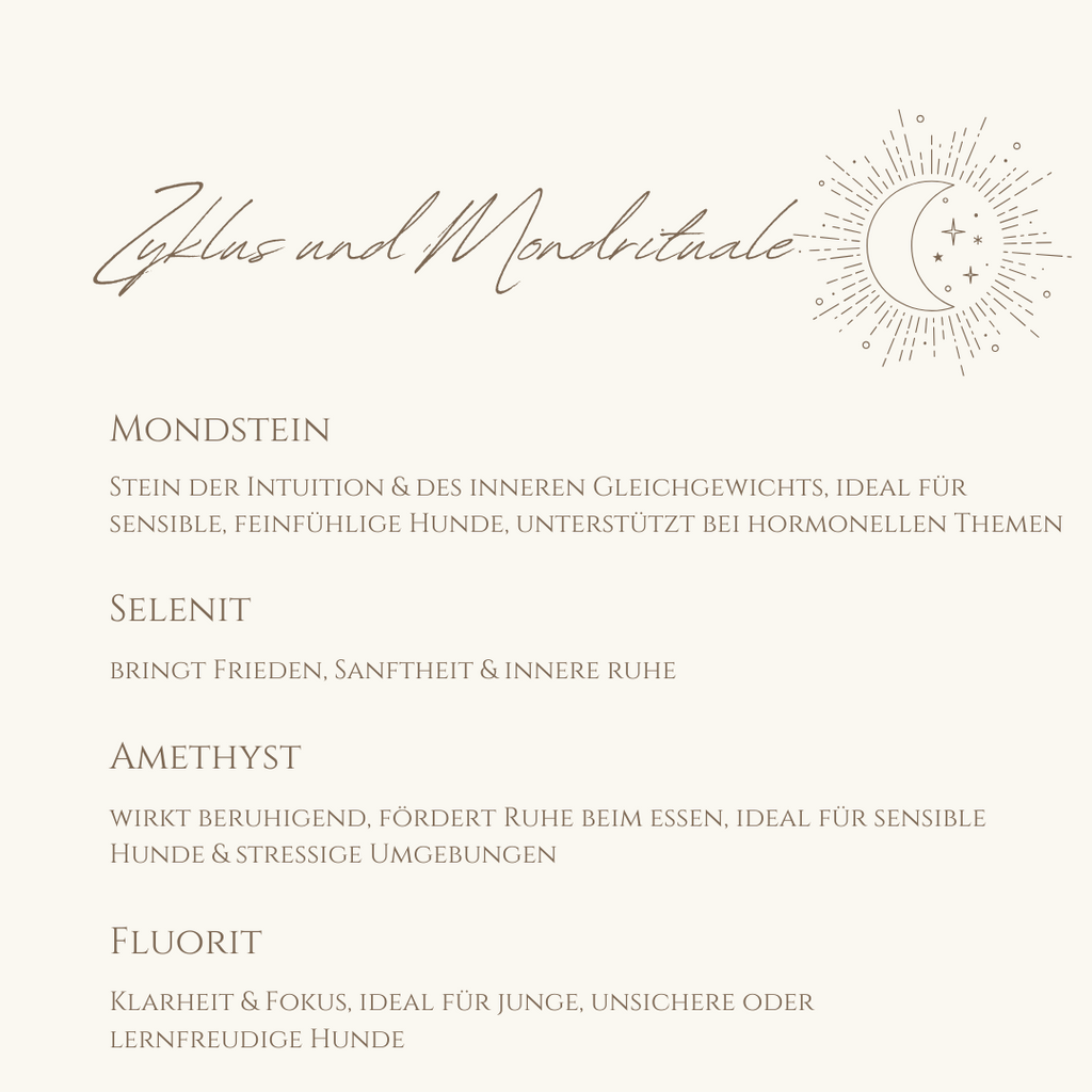 Napfzauber Zyklus & Mondrituale