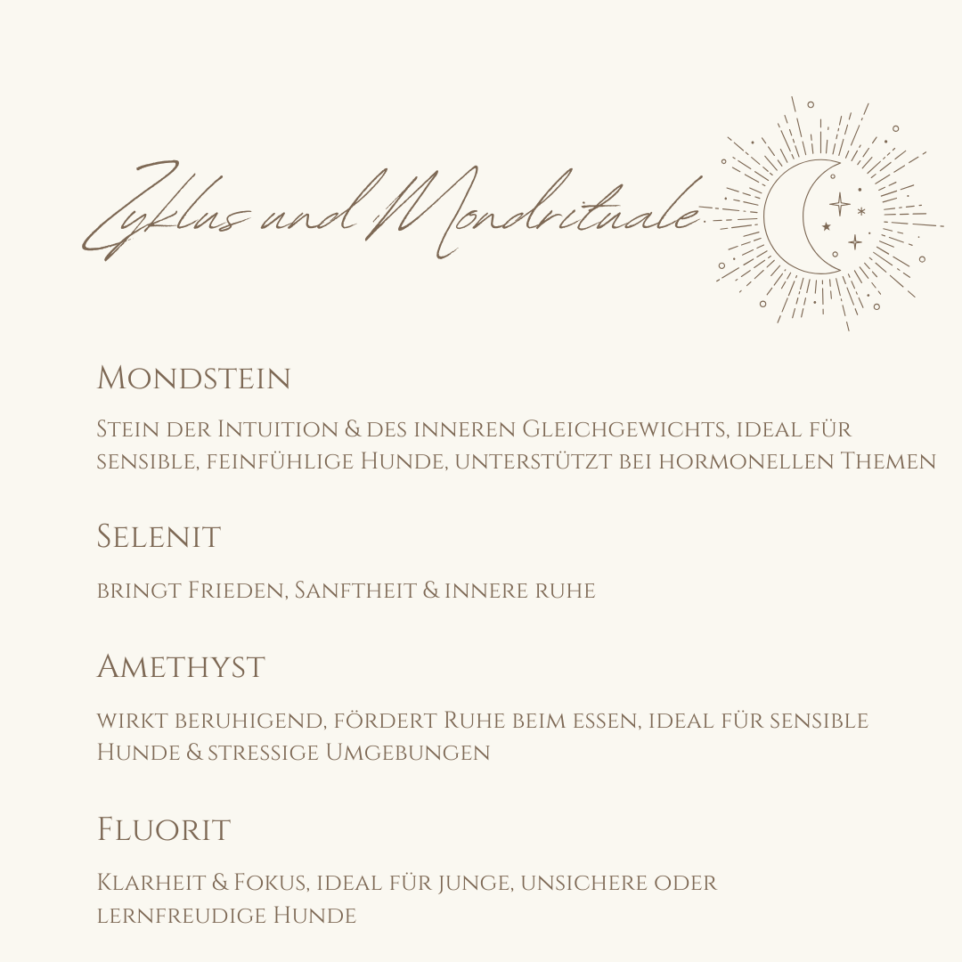 Napfzauber Zyklus & Mondrituale