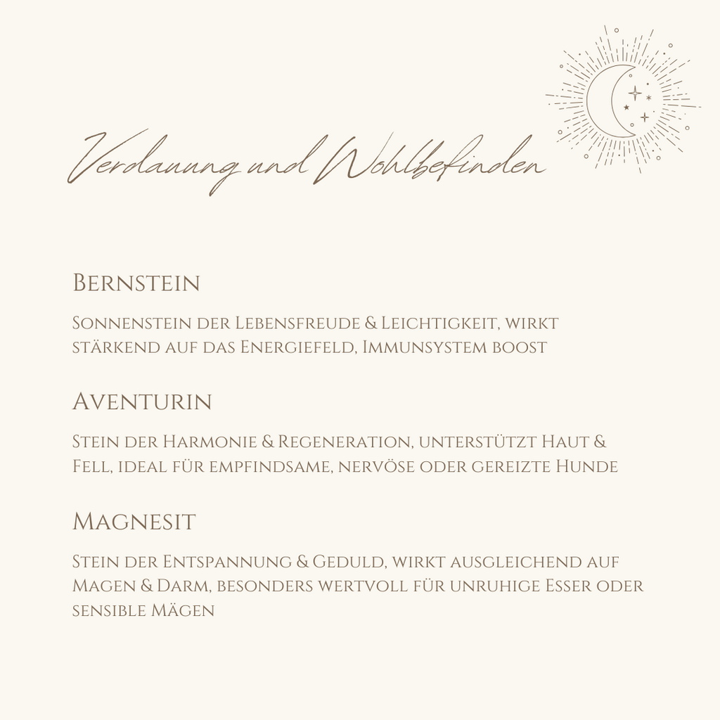 Napfzauber Verdauung & Wohlbefinden