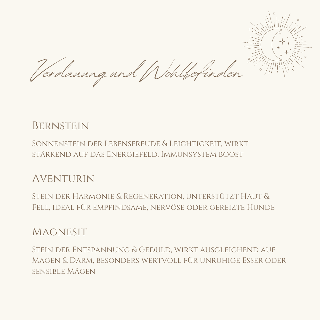 Napfzauber Verdauung & Wohlbefinden